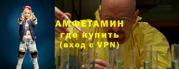прущие грибы Аркадак