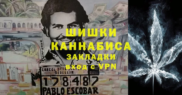 прущие грибы Аркадак