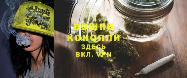 прущие грибы Аркадак