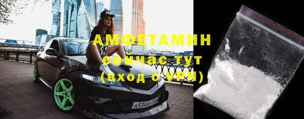 прущие грибы Аркадак