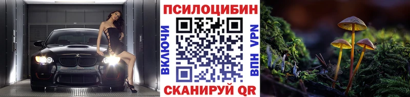 kraken онион  цены   Рославль  Псилоцибиновые грибы Psilocybine cubensis 